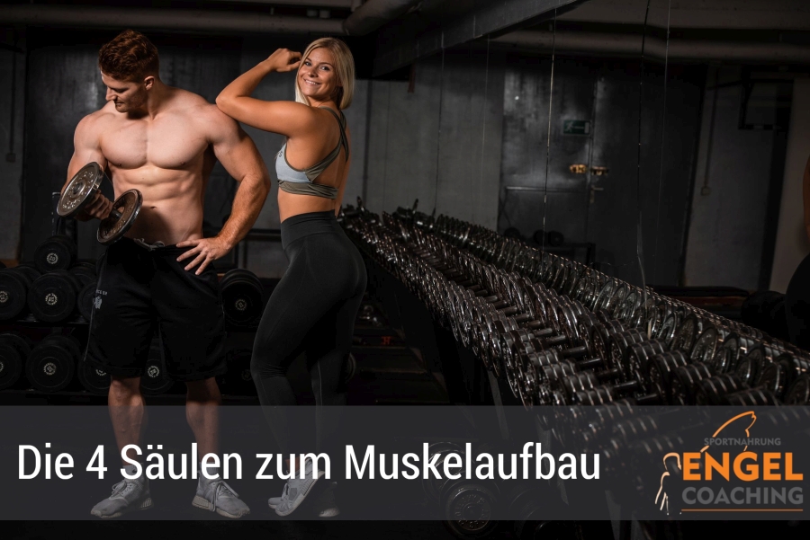 Die 4 wichtigsten Muskelaufbau Faktoren f&uuml;r mehr Muskelmasse